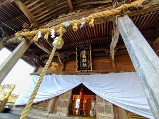 津島神社の参拝記録(桃さん)