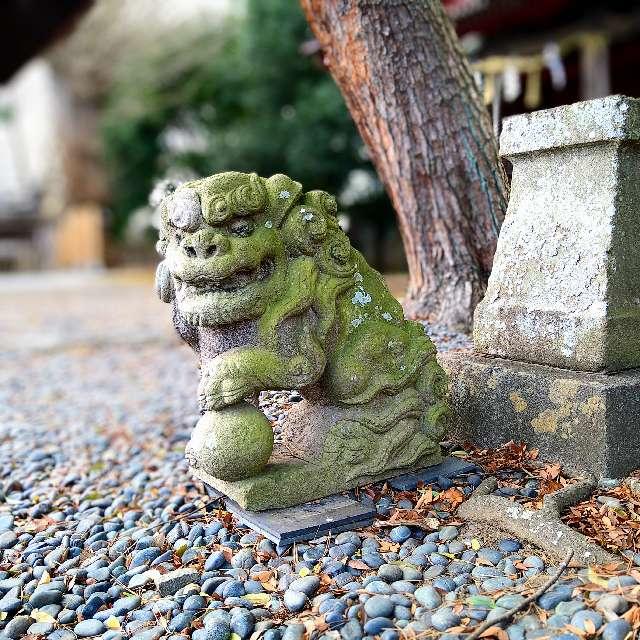 津島神社の参拝記録5