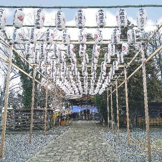 津島神社の参拝記録(桃さん)