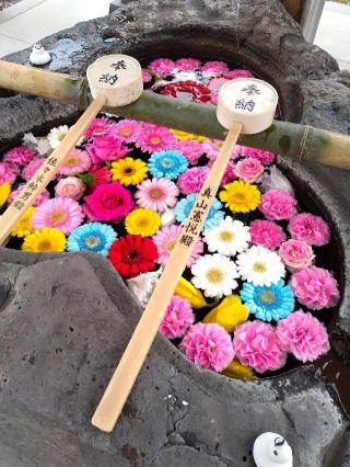 津島神社の参拝記録(桃さん)
