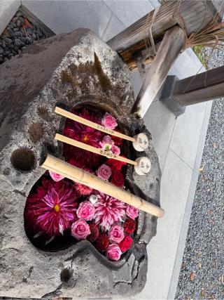 津島神社の参拝記録(いっくんさん)