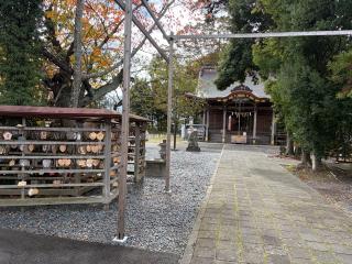 津島神社の参拝記録(いっくんさん)