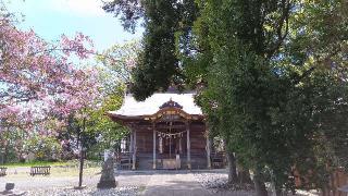 津島神社の参拝記録(ひろ神社仏閣さん)