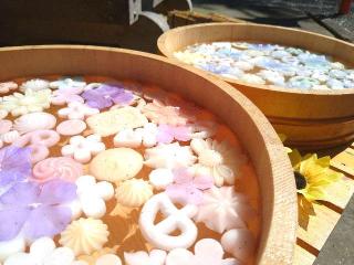 登米神社の参拝記録(桃さん)