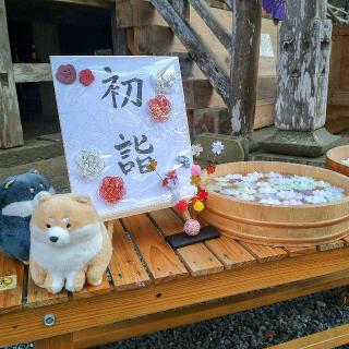 登米神社の参拝記録(桃さん)