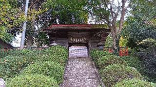 登米神社の参拝記録(ひろ神社仏閣さん)