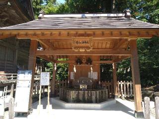 秈荷神社の参拝記録(桃さん)