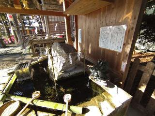 秈荷神社の参拝記録(桃さん)