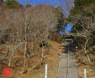 川見薬師寺の参拝記録3