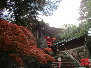 六所神社の参拝記録10