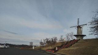 津島本宮社の参拝記録(桃さん)