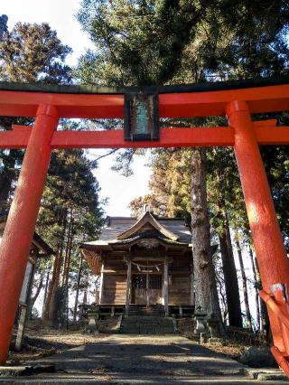 津島本宮社の参拝記録(桃さん)