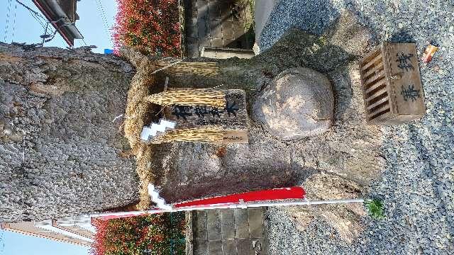 須賀神社の参拝記録7