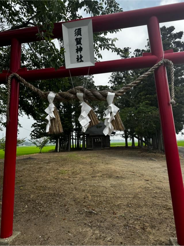 須賀神社の参拝記録2