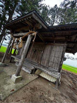 須賀神社の参拝記録(さくらさん)