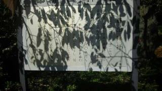 新山神社の参拝記録(キムさん)