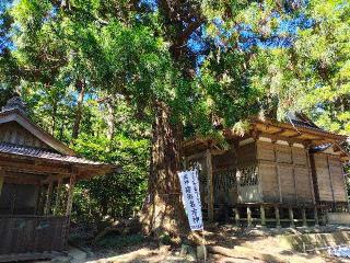 諏訪神社の参拝記録(ぶちさん)