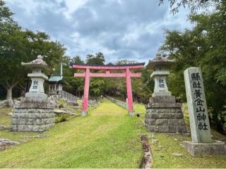 金華山黄金山神社（日本五大弁財天）の参拝記録(忍さん)