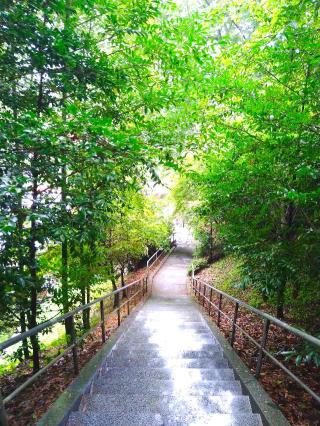 早馬神社の参拝記録(桃さん)
