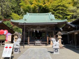 早馬神社の参拝記録(こぽんたさん)