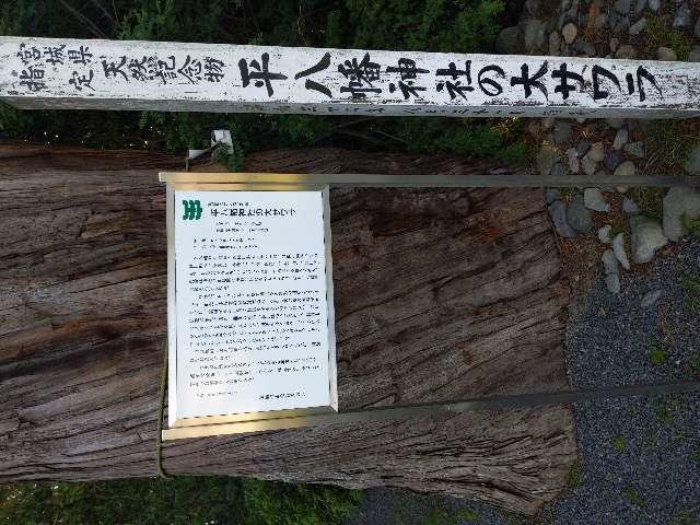 宮城県気仙沼市字川原崎66 平八幡神社の写真2