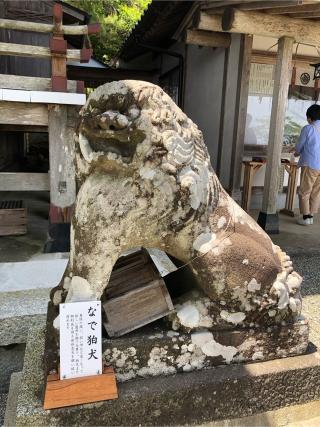 大島神社の参拝記録(ともさん)