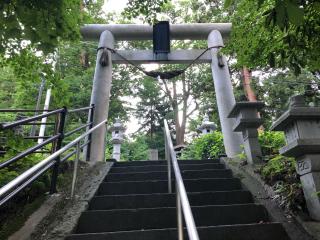 酢川温泉神社の参拝記録(笹だんごさん)