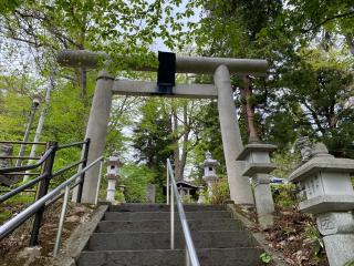酢川温泉神社の参拝記録(やっぴーさん)