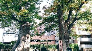 熊野神社の参拝記録(miyumikoさん)