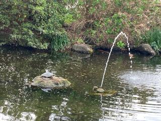 熊野神社の参拝記録(MA-323さん)