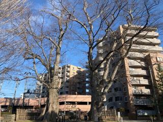 熊野神社の参拝記録(りんさん)