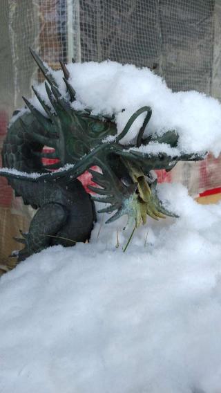 寒河江八幡宮の参拝記録(keeenさん)