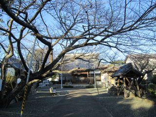 妙泉寺の参拝記録(ぎんちゃんさん)