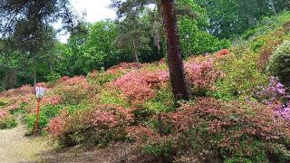 建勲神社の参拝記録(ひろ神社仏閣さん)
