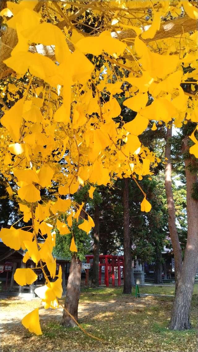 山形県東根市四ツ家1-2-11 與次郎稲荷神社の写真2