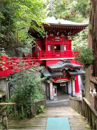 中野山 大正寺（中野不動尊）の参拝記録(ペン太さん)