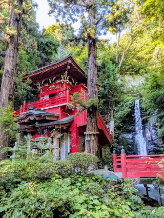 中野山 大正寺（中野不動尊）の参拝記録(くわさん)
