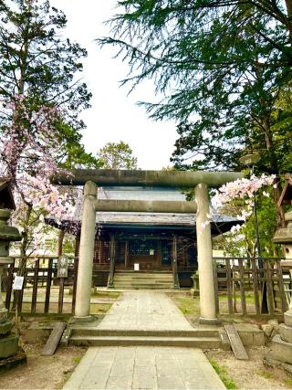 松岬神社の参拝記録(ふうりんパパさん)