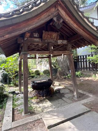 松岬神社の参拝記録(コットンさん)