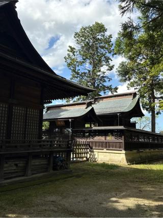 松岬神社の参拝記録(コットンさん)