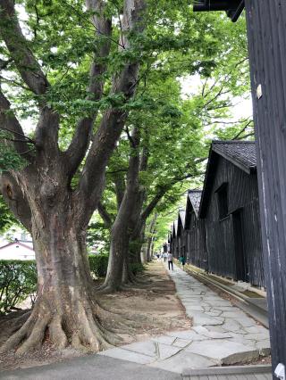 三居稲荷神社の参拝記録(笹だんごさん)