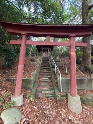 日枝神社（下社）の参拝記録(コットンさん)