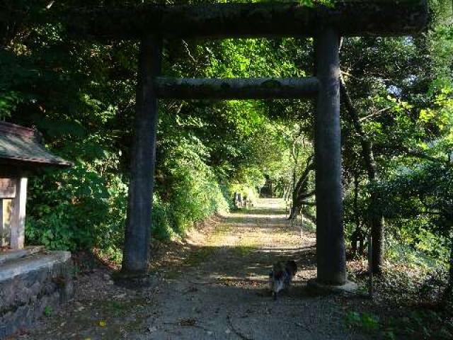 河内神社の参拝記録1