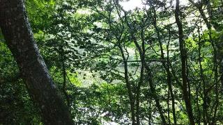 氣比神社の参拝記録(ぺろりんさん)