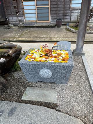 荘内神社の参拝記録(あきんこさん)