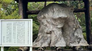 荘内神社の参拝記録(Yogiさん)