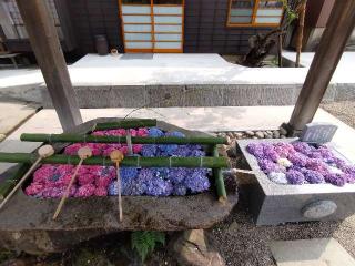 荘内神社の参拝記録(おかやんさん)