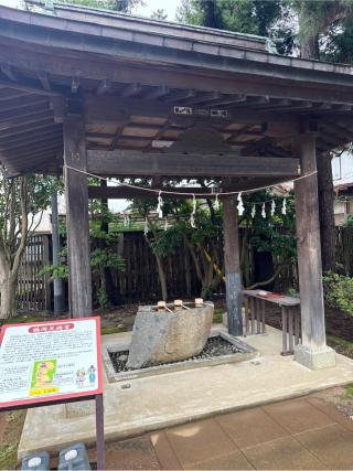 鶴岡天満宮の参拝記録(コットンさん)