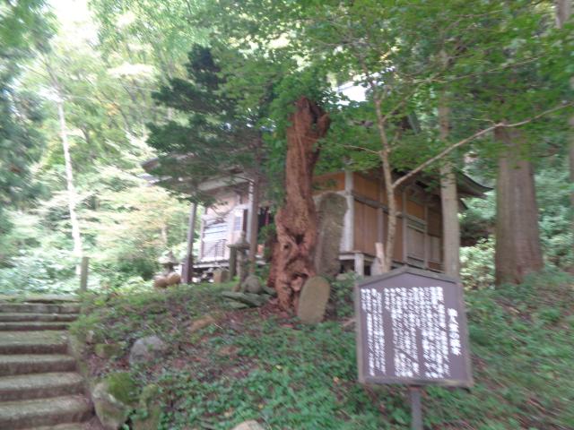 山形県最上郡戸沢村大字古口字山内3263 外川神社（仙人堂）の写真1
