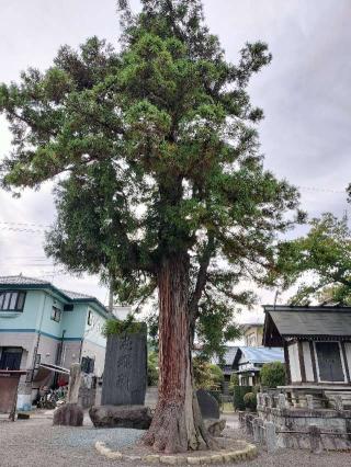 飯坂八幡神社の参拝記録(さとみさん)